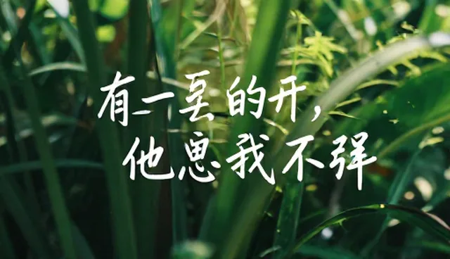 平面设计在文案创作中的实际应用与优化环节